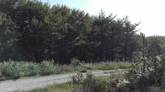 Point de départ