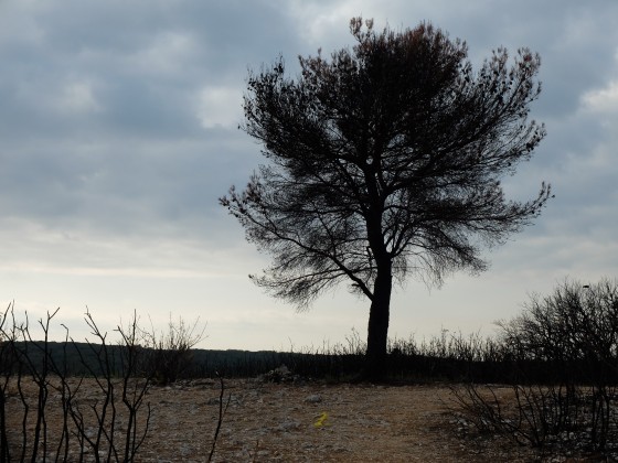 Point de repère n°2 du circuit