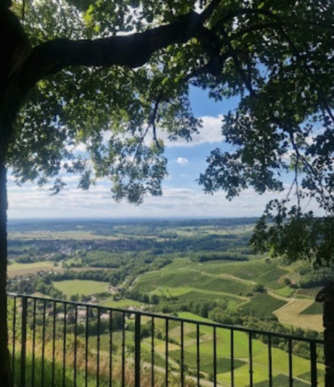 Point de vue &agrave; Ch&acirc;teau-Chalon