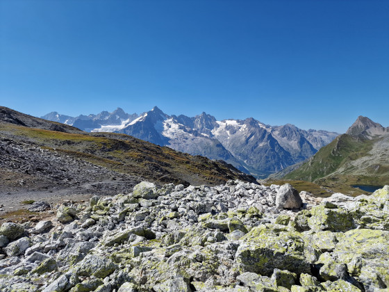 Point de vue à la fenêtre de ferret _1