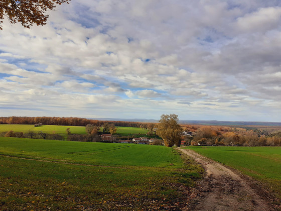 Point de vue à la Frison