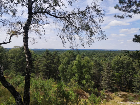 Point de vue de Hurlevent