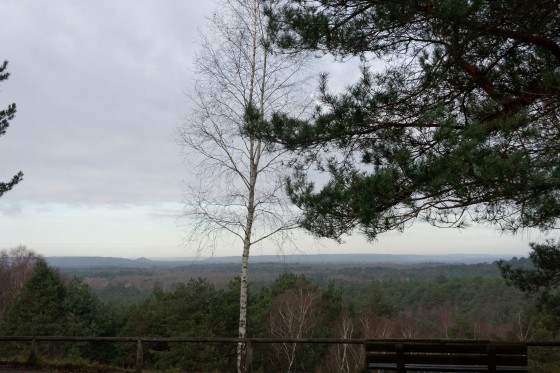 point de vue de Hurlevent