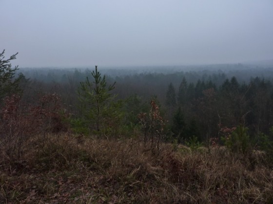 Point de vue de l\'Inspecteur