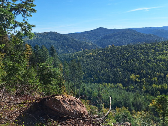 Point de vue de la Roche des Druides.