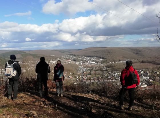 Point de vue de la Roche Martin