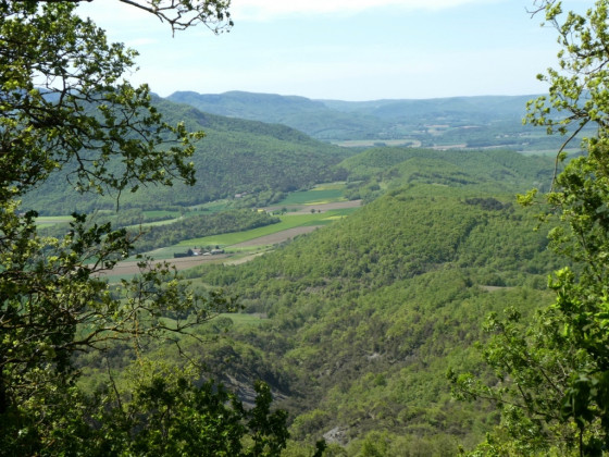 Point de vue de la variante