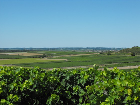 Point de vue depuis Fanaud