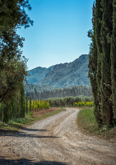 Point de vue depuis le départ
