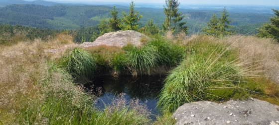 Point de vue depuis le grand Rougimont