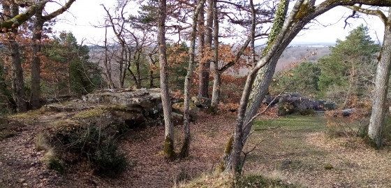Point de vue du Camp de Chailly