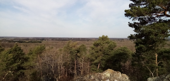 Point de vue du Camp de Chailly
