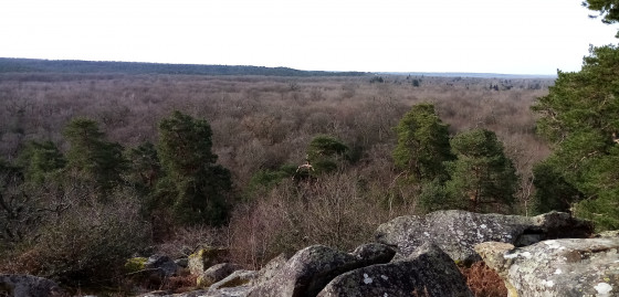 Point de vue du Camp de Chailly