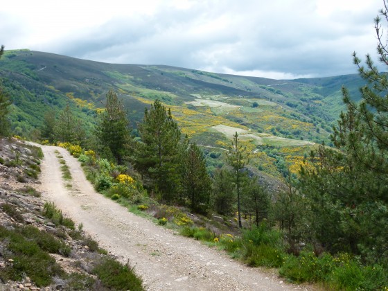 Point de vue du Col du Sapet
