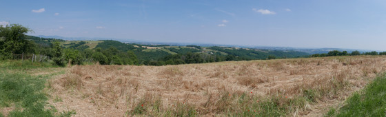 Point de vue en été