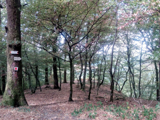 point de vue encombré