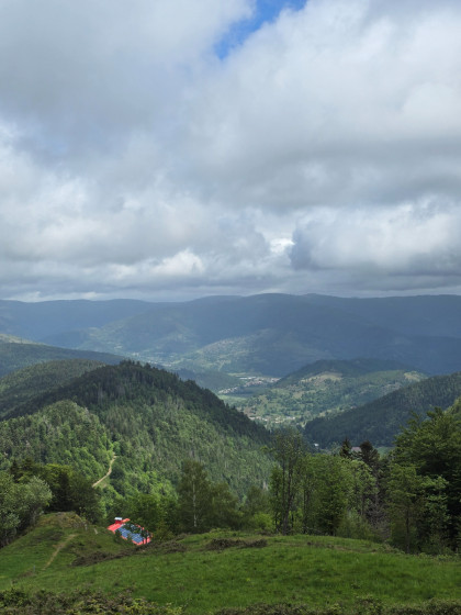 Point de vue Gazon Vert