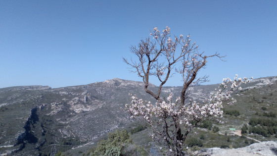 Point de vue n°1