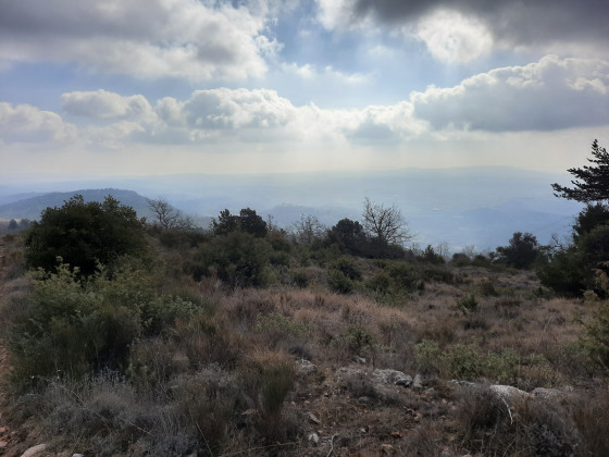 Point de vue plateau de la Sarrée
