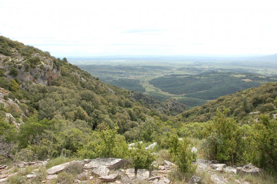 Point de vue