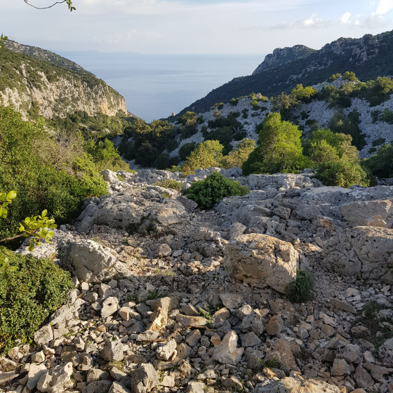 Point de vue sur la côte