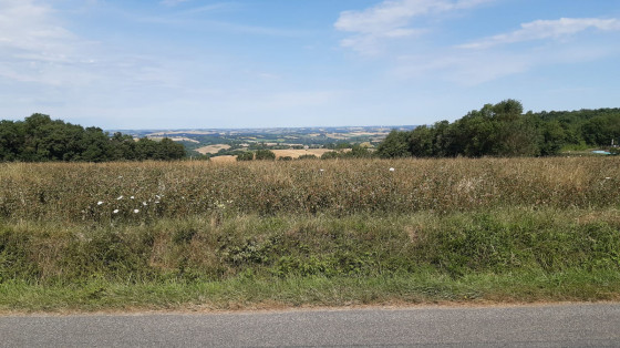 point de vue sur la crète
