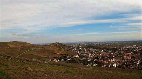 Point de vue sur la plaine Alsacienne