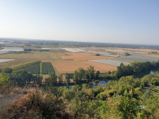 Point de vue sur la plaine du Tarn