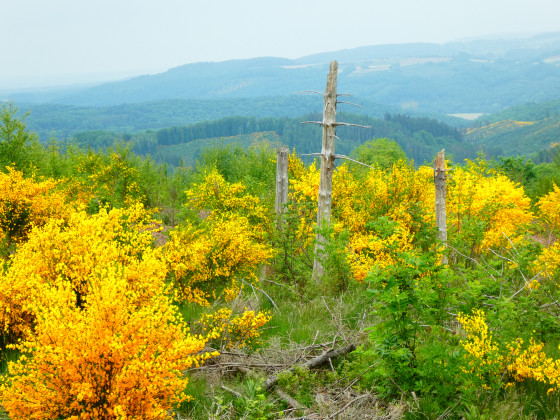 Point de vue sur la région