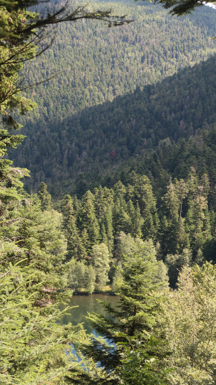 Point de vue sur lac de la Maix