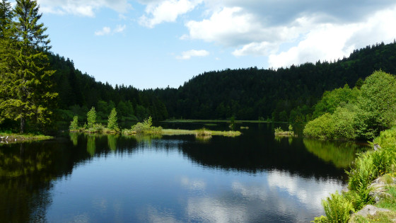 Lac de Lispach