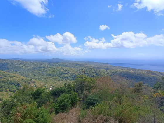 point de vue sur le sud de l'île