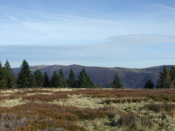 Point de vue sur les Ballons des Vosges
