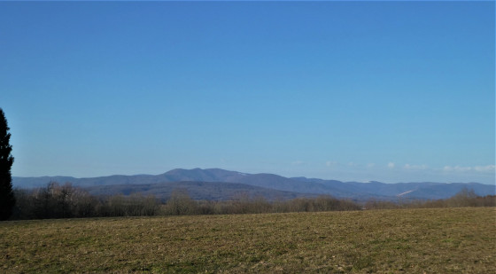 Point de vue sur les Vosges Saônnoises