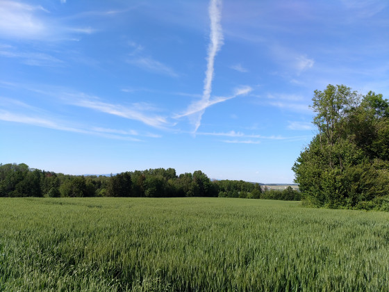Point de vue