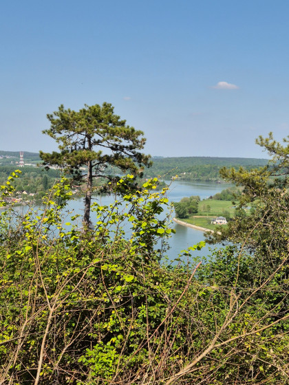 Point de vue sur un méandre de La Seine