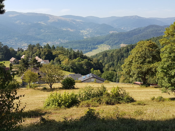Point de vue vers la vallée de Munster