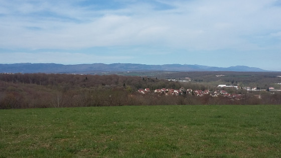 Point de vue vers les Vosges
