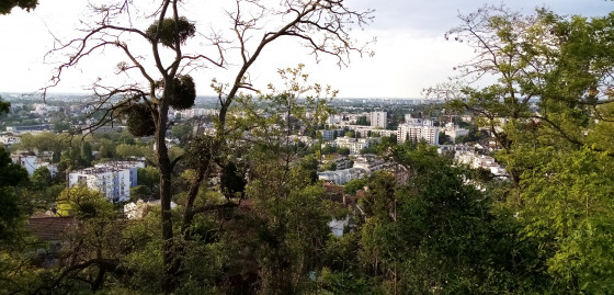 Point de vue