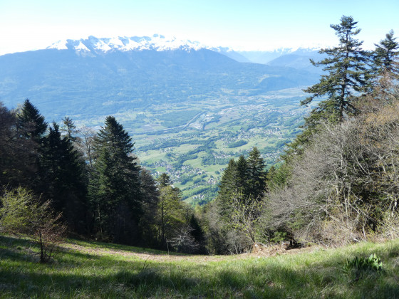 Point de vue