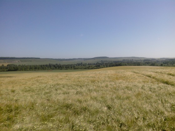 Point de vue
