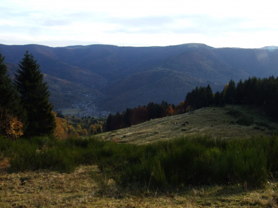 Point de vue