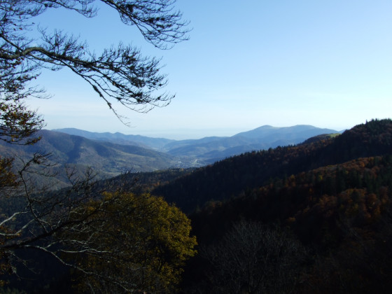 Point de vue