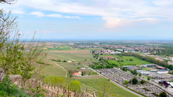 Point de vue