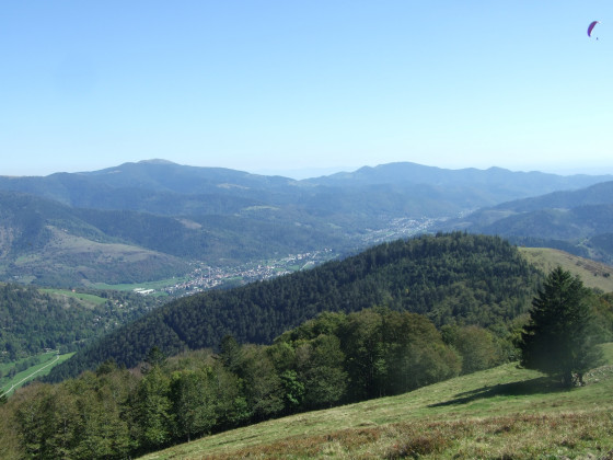 Point de vue
