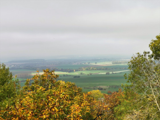 Point de vue