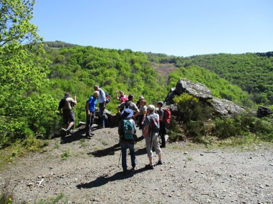 Point de vue