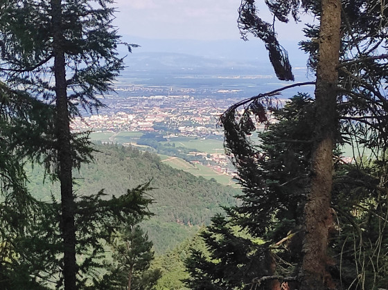 Point de vue