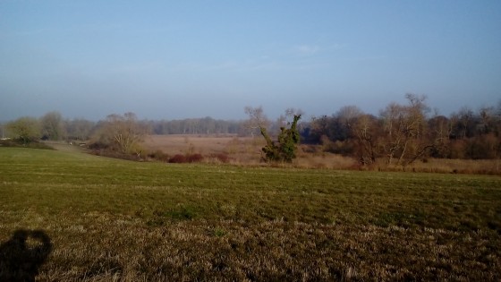 Point de vue