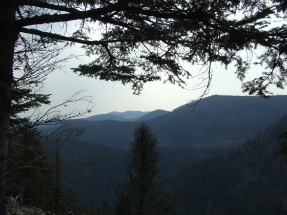 Point de Vue